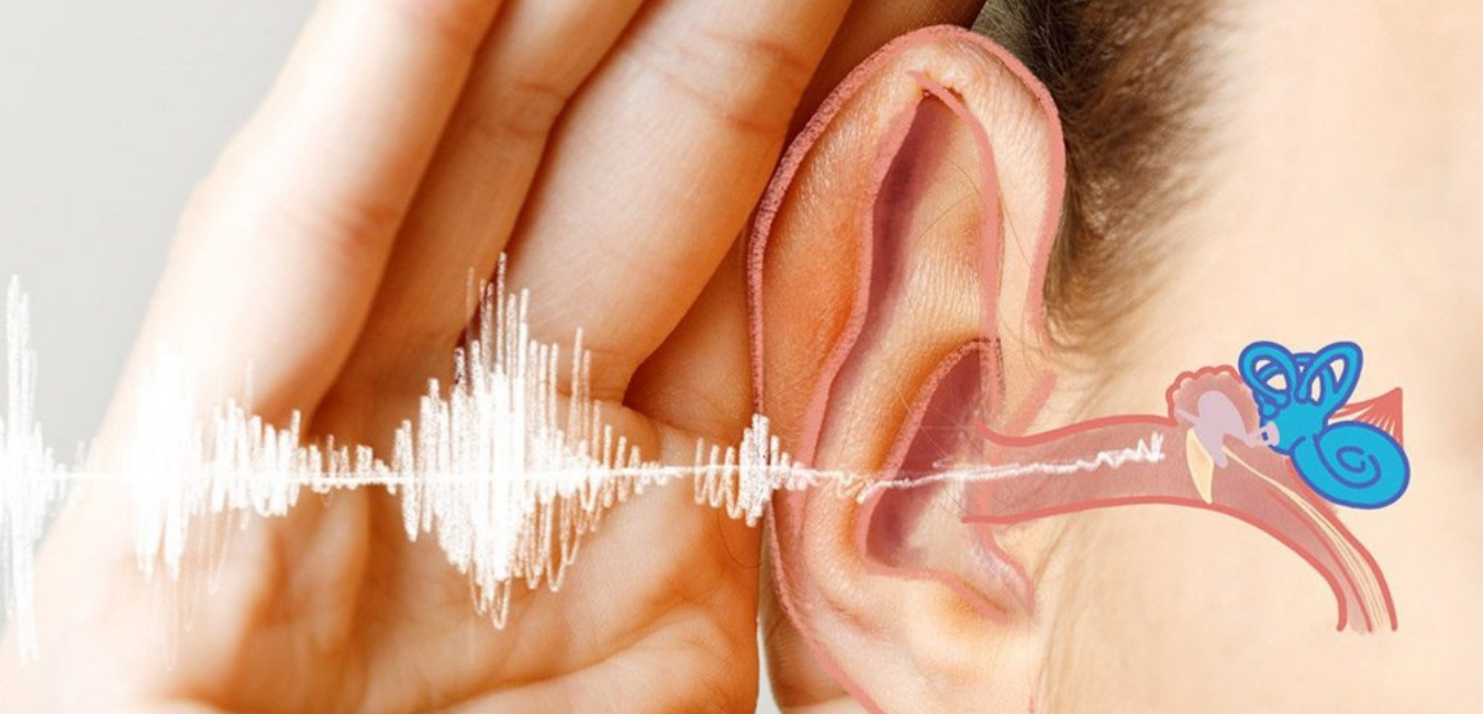 Signs of Hearing Loss | Hearing Solutions Ontario